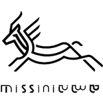 logo missini